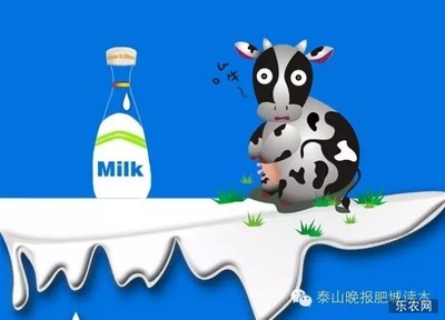 乳制品降价 市民忙抢购 销售人员:天气转暖 市民需求大